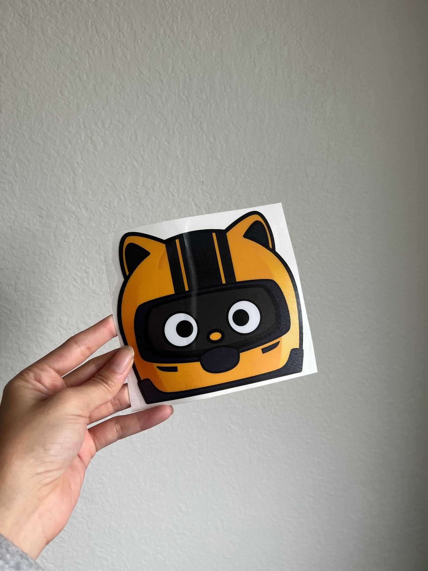 Racer Cat Peeker
