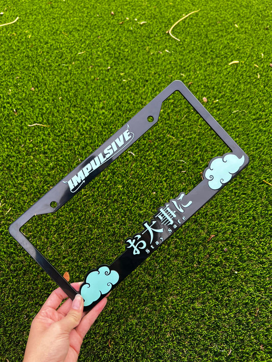 SEAFOAM GREEN Stay Safe License Plate Frame
