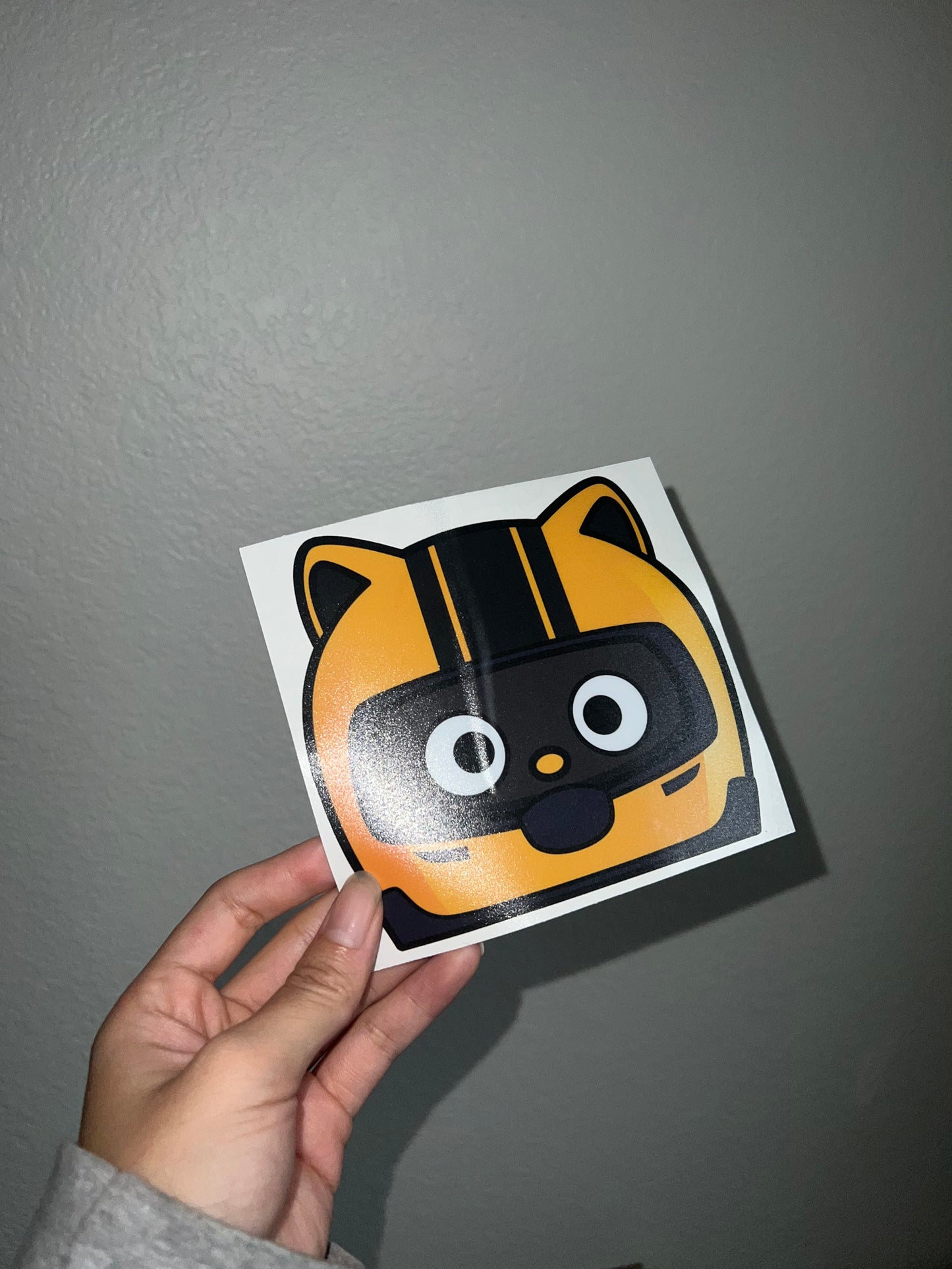 Racer Cat Peeker