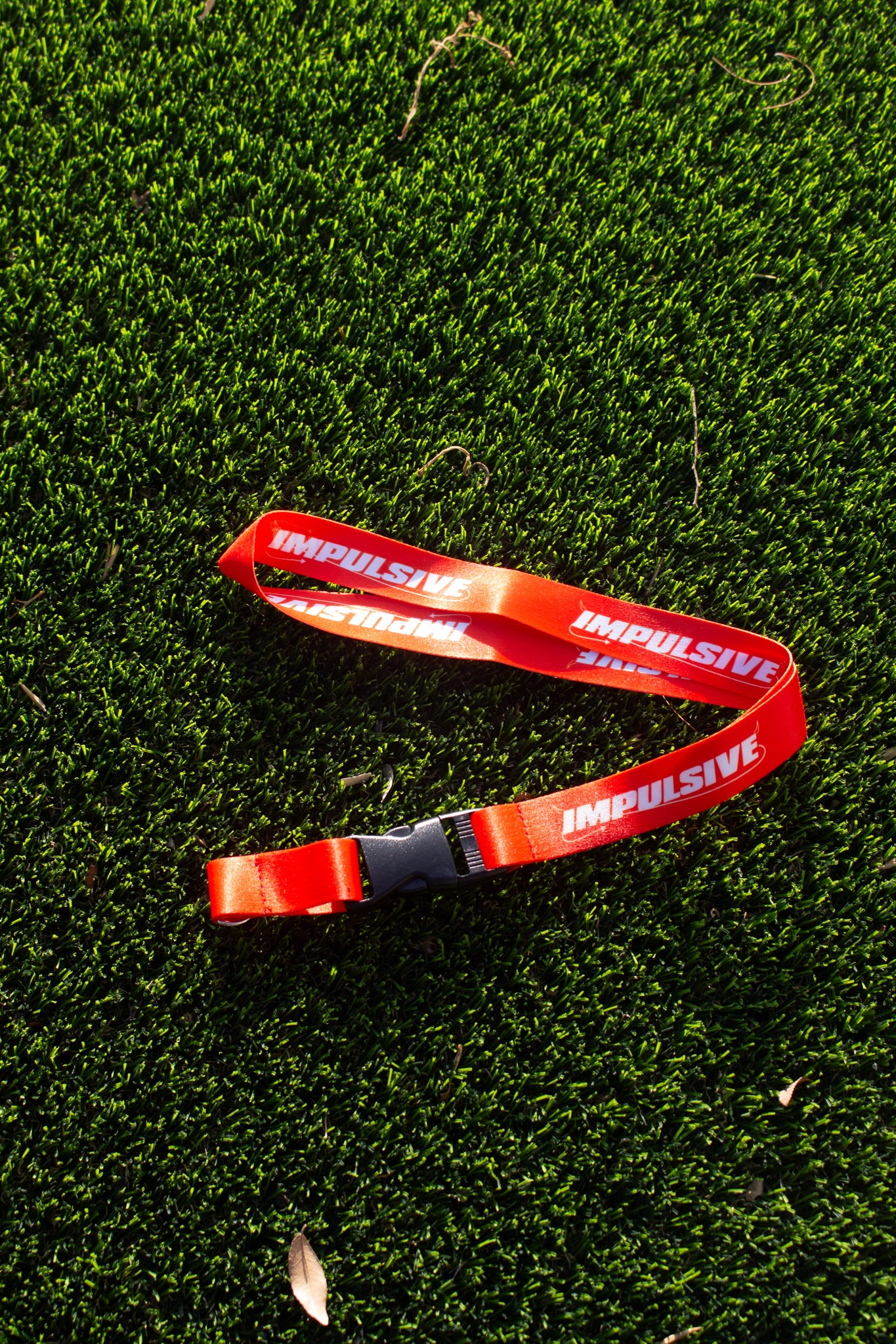 Impulsive Lanyard