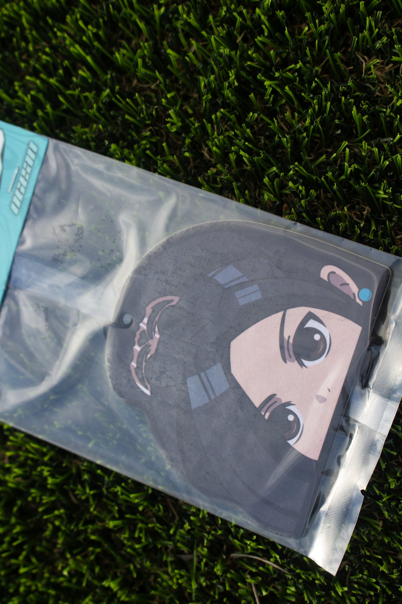 Sage Air Freshener