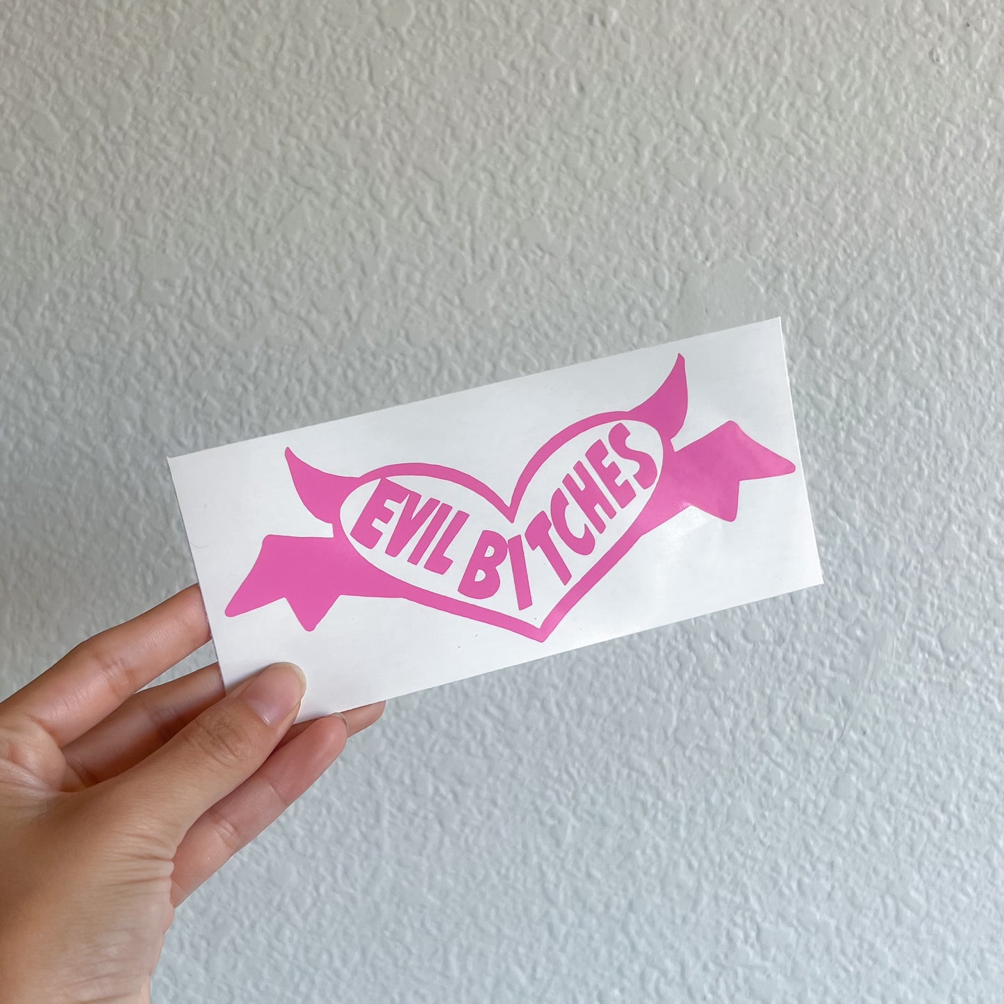 Evil Bitches Decal