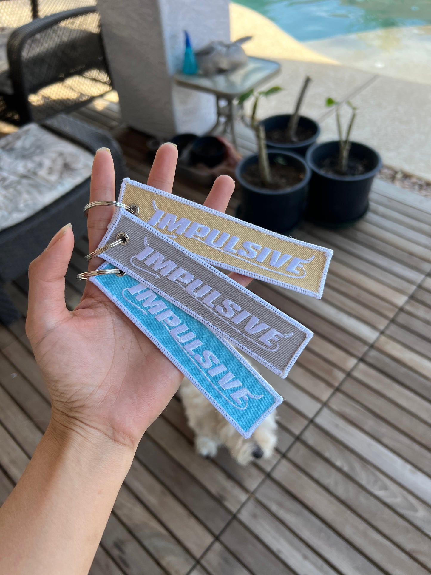Stay Safe Jet Tags