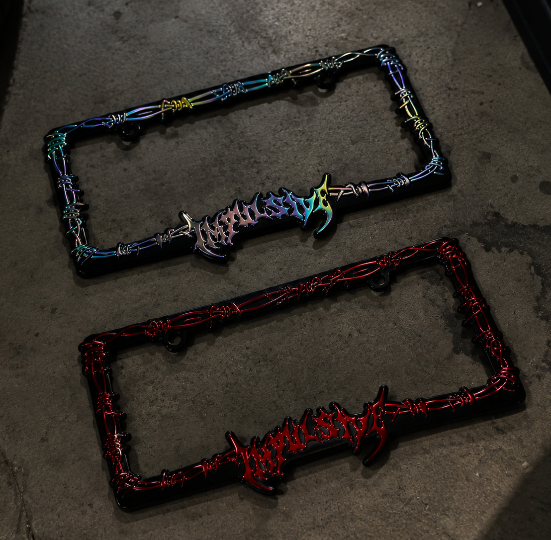 Barb Wired License Plate Frame