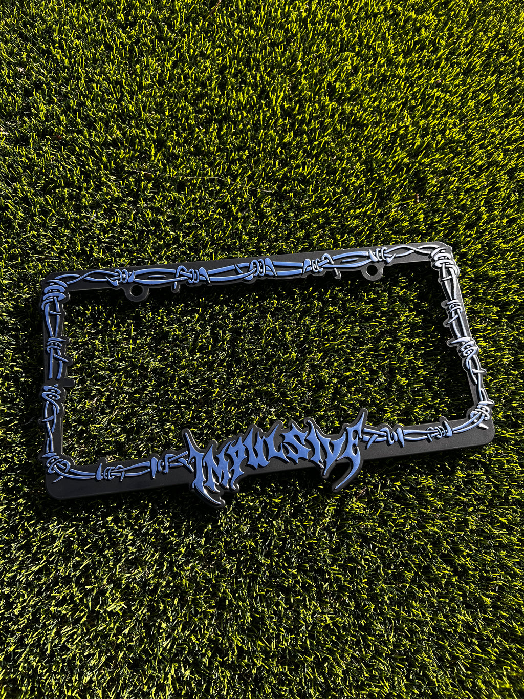 Barb Wired License Plate Frame