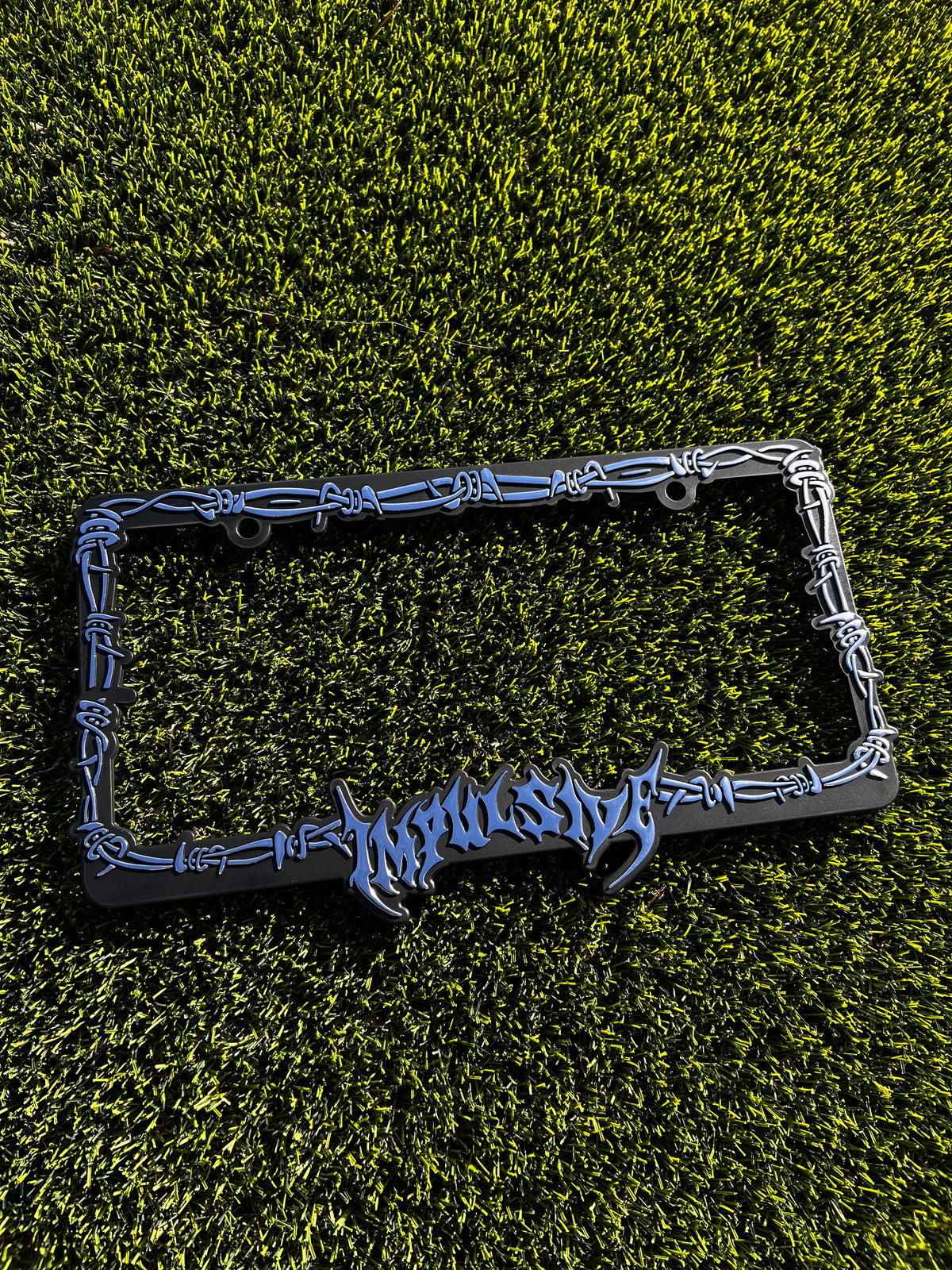 Barb Wired License Plate Frame