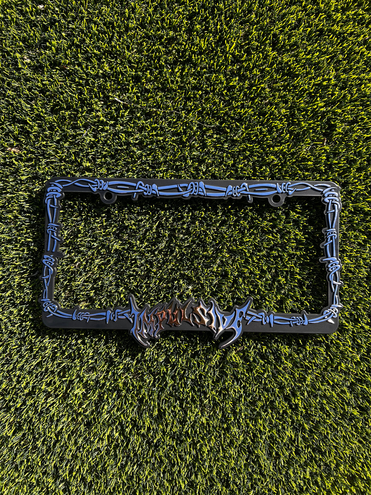 Barb Wired License Plate Frame