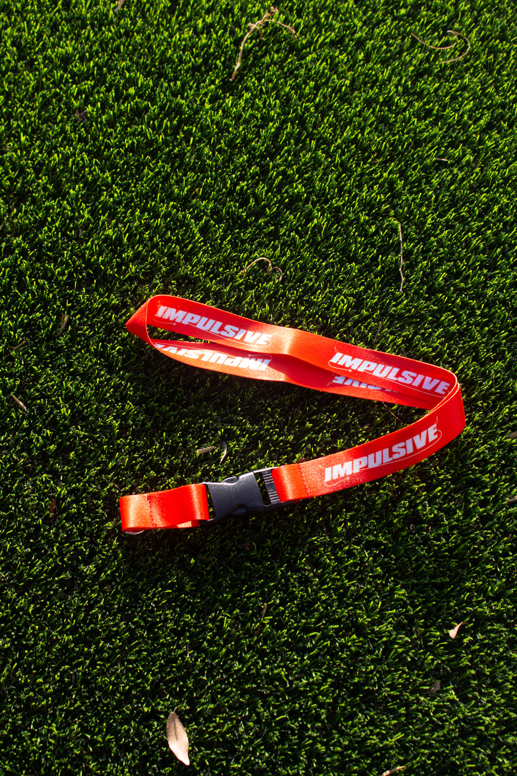 Impulsive Lanyard