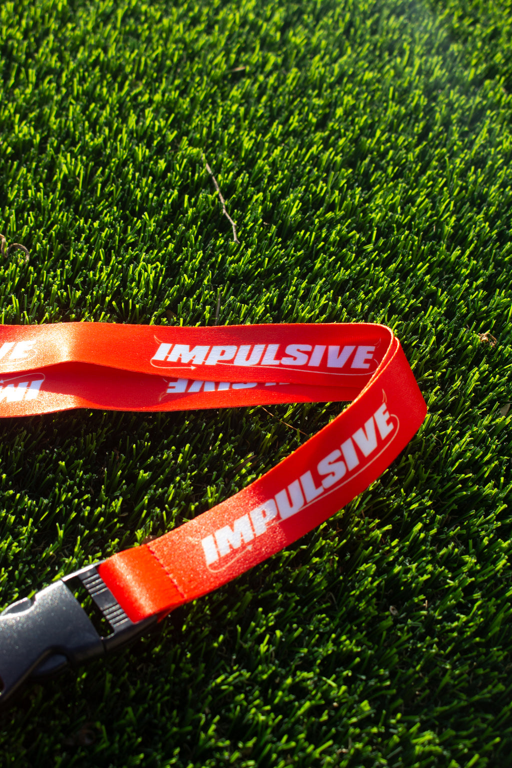 Impulsive Lanyard