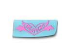 Evil Bitches Decal